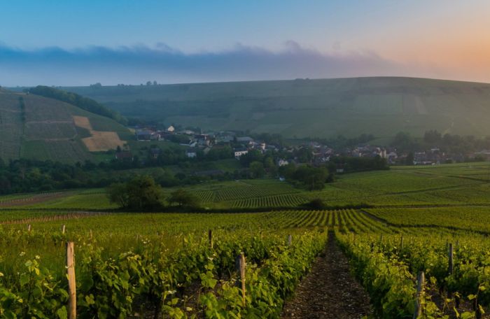 Sancerre - Le vin, mais aussi le Whisky