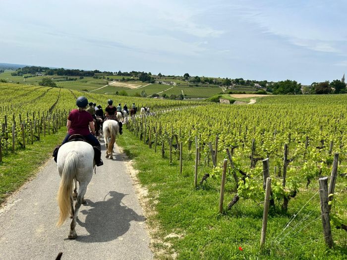 Sancerre - Le vin, mais aussi le Whisky