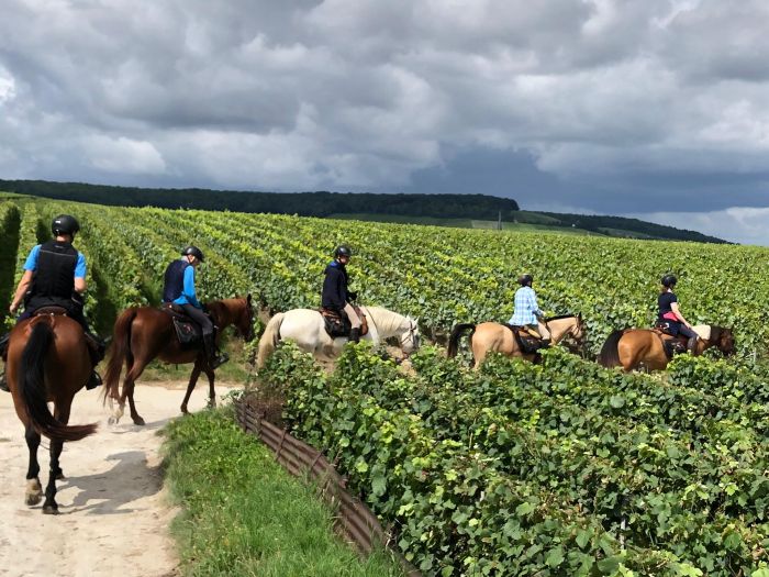 Sancerre - Le vin, mais aussi le Whisky