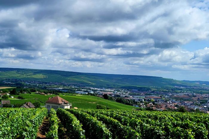 Sancerre - Le vin, mais aussi le Whisky
