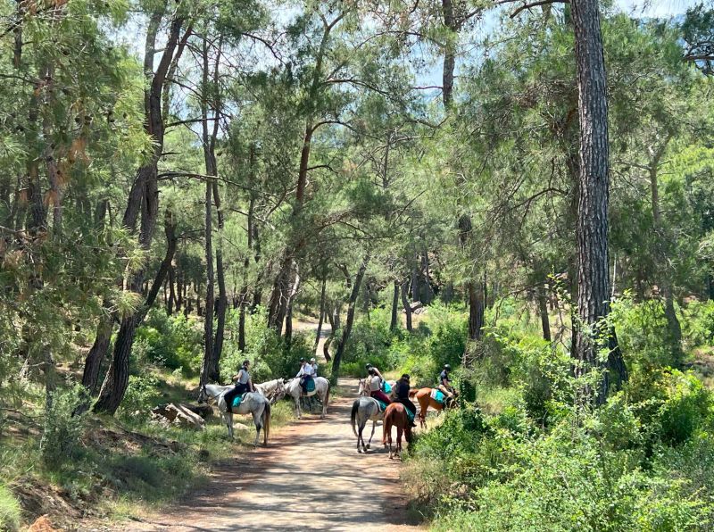 Séjour dans les montagnes du Taurus