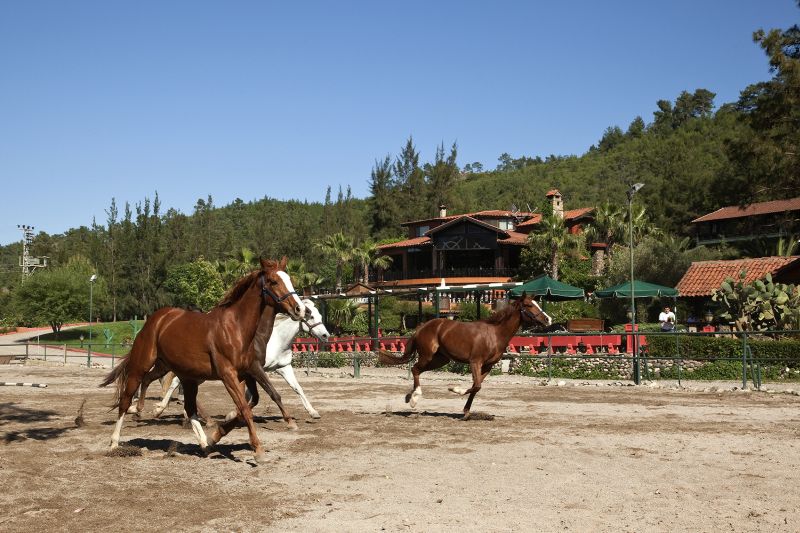 Séjour dans les montagnes du Taurus