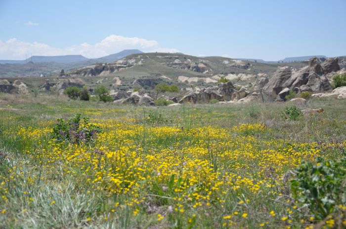 Randonnée en Cappadoce