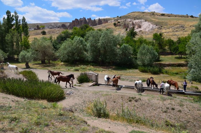 Randonnée en Cappadoce