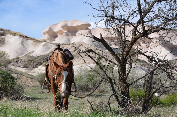 Randonnée en Cappadoce