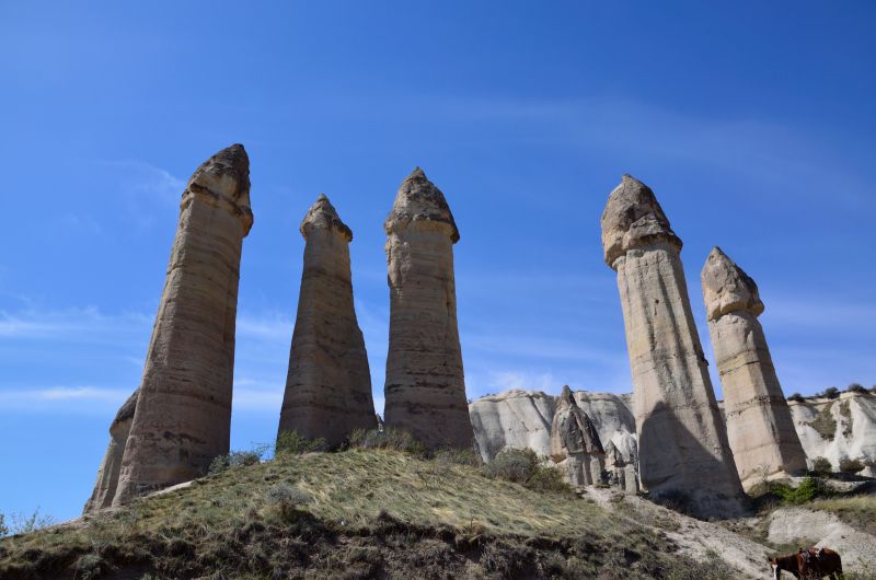 La Cappadoce au galop