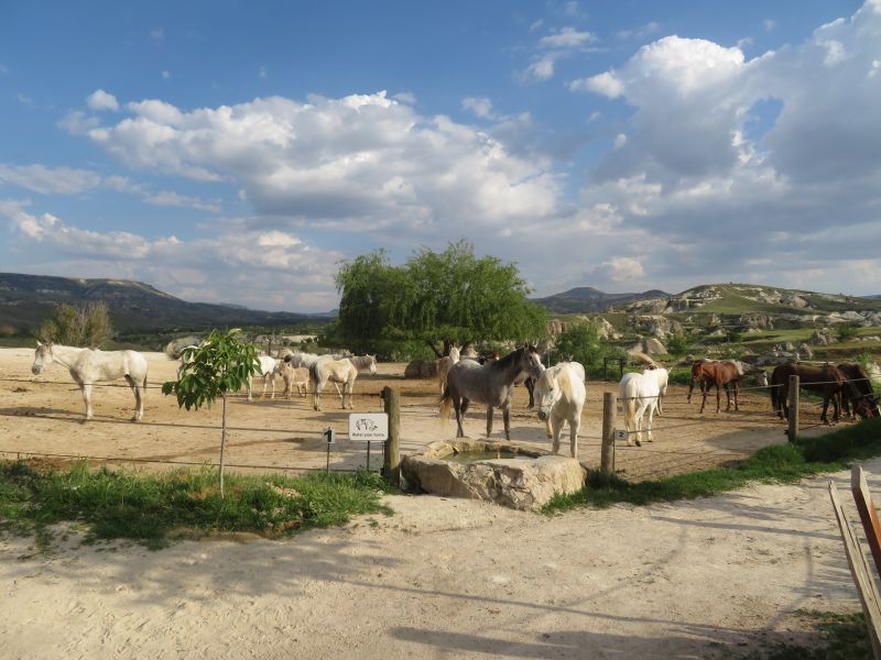 La Cappadoce au galop