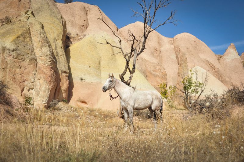 La Cappadoce au galop