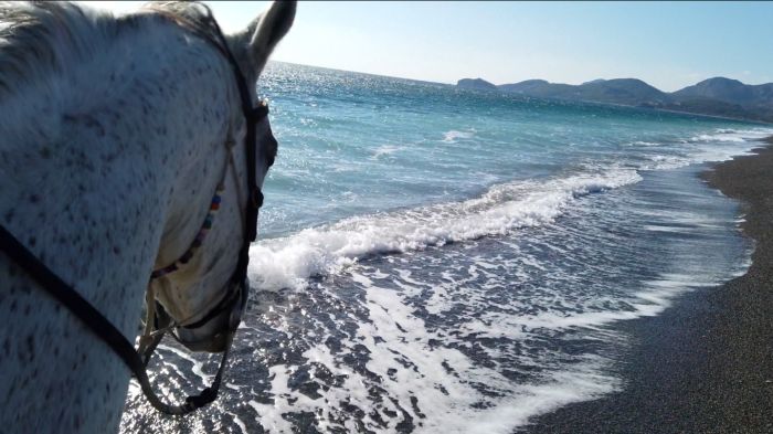 Balade côtière de Dalyan