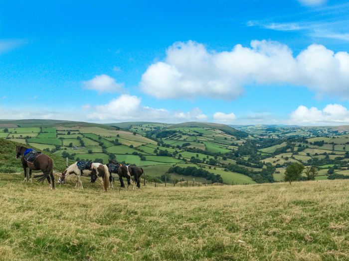 Randonnée des monts Cambriens - Pays de Galles