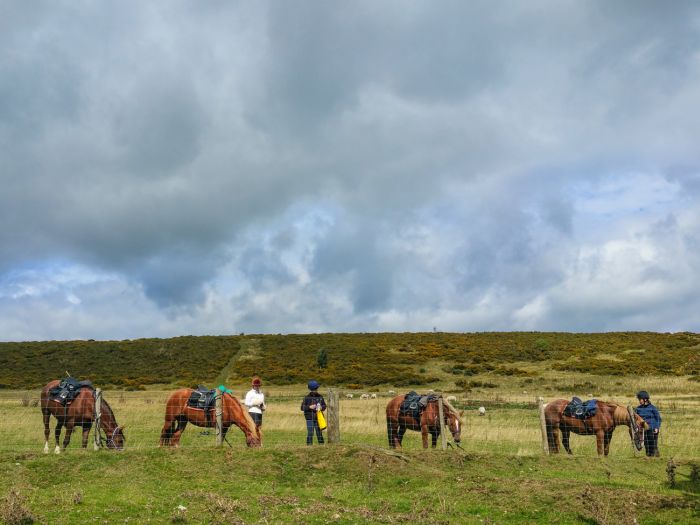 Randonnée des monts Cambriens - Pays de Galles