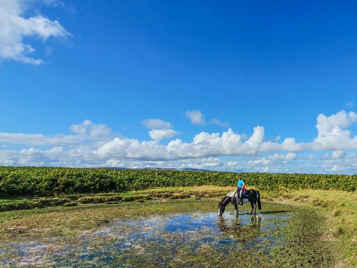 Randonn&eacute;e des monts Cambriens - Pays de Galles