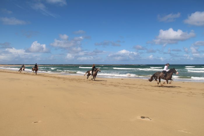 Paradis sur la côte atlantique