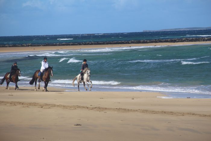 Paradis sur la côte atlantique