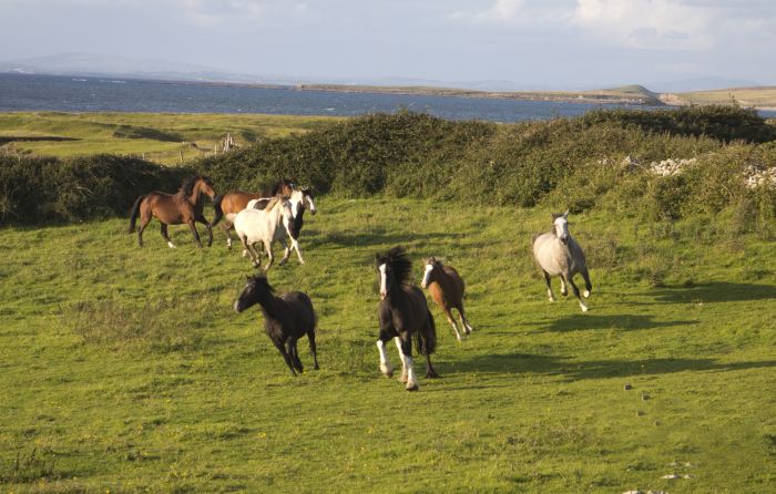 Paradis sur la côte atlantique