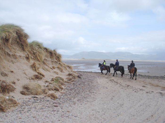 Trail de Killarney Reeks