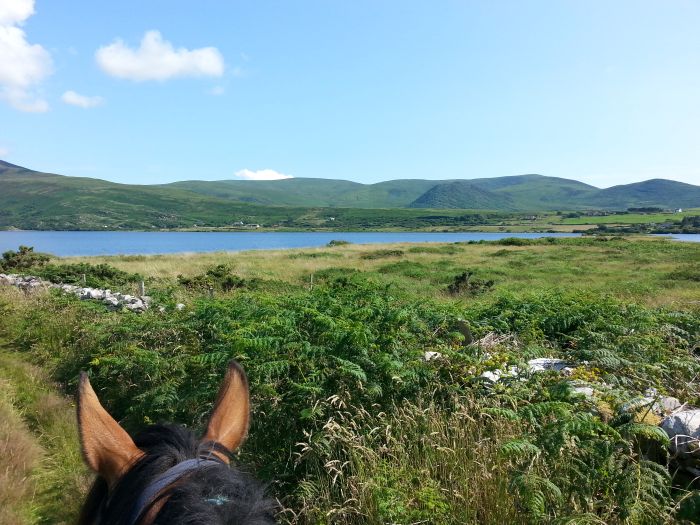 Trail de Killarney Reeks
