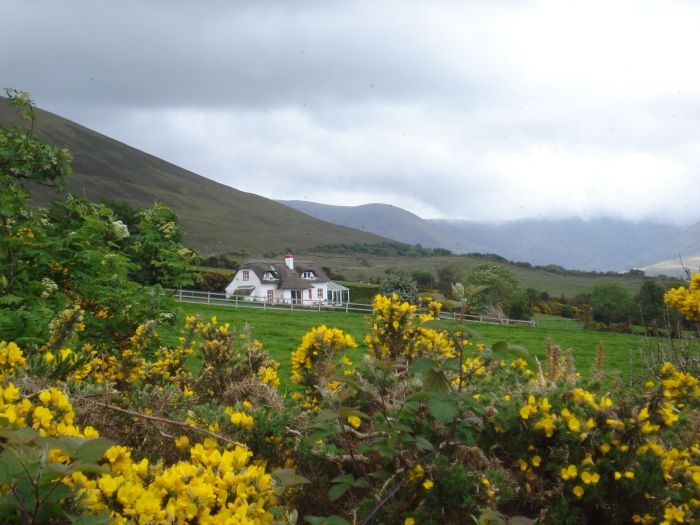 Trail de Killarney Reeks