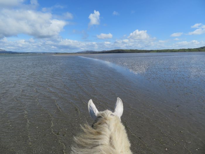 Apprentissage de l'anglais et équitation pour les adolescents