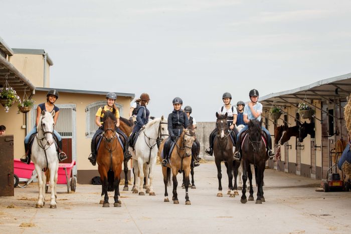 Apprentissage de l'anglais et équitation pour les adolescents