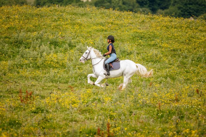 Apprentissage de l'anglais et équitation pour les adolescents