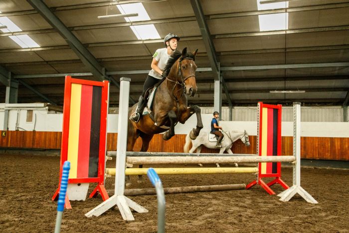 Apprentissage de l'anglais et équitation pour les adolescents