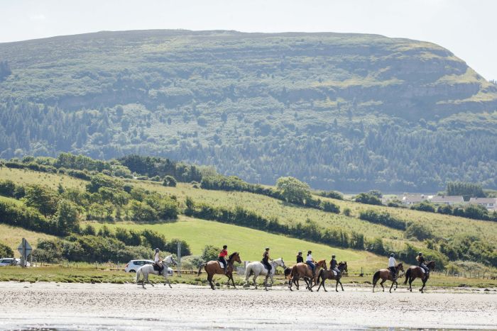 Apprentissage de l'anglais et équitation pour les adolescents