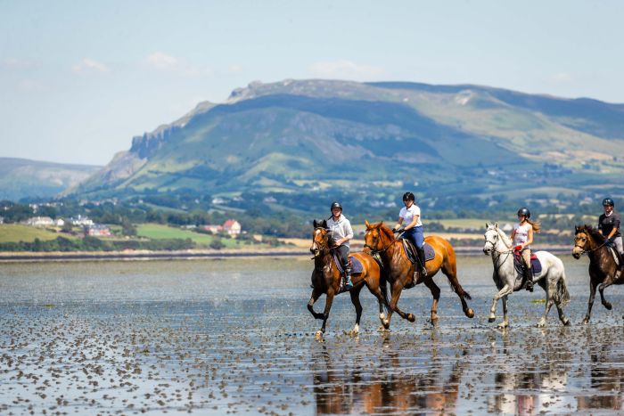 Apprentissage de l'anglais et équitation pour les adolescents