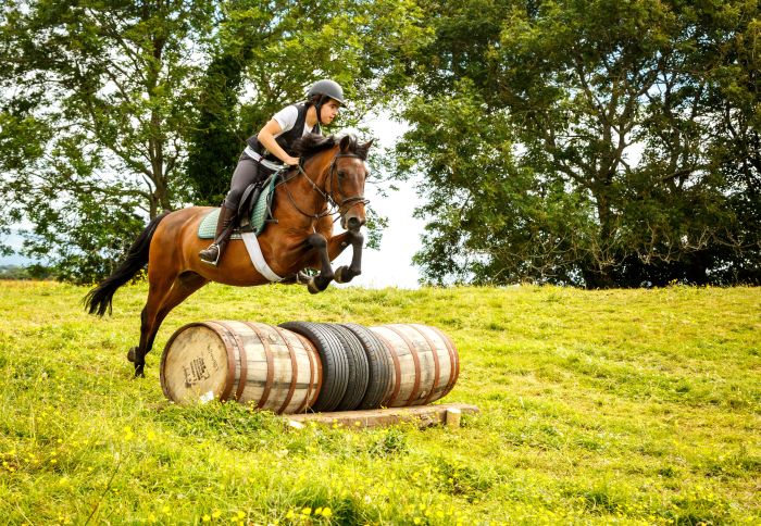 Apprentissage de l'anglais et équitation pour les adolescents
