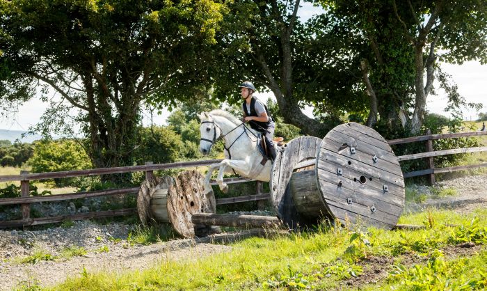 Apprentissage de l'anglais et équitation pour les adolescents
