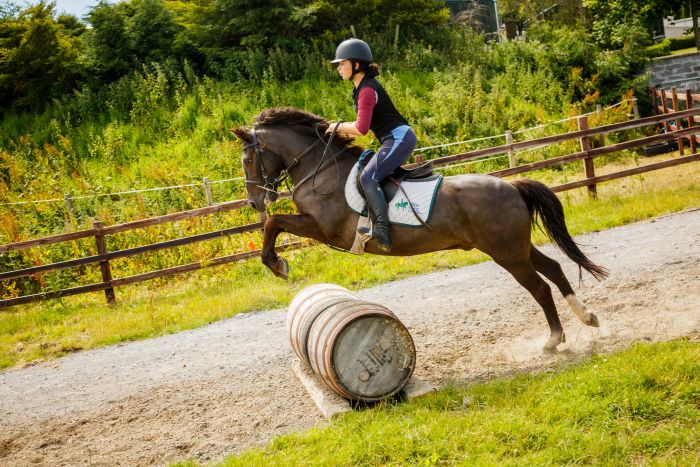 Apprentissage de l'anglais et équitation pour les adolescents