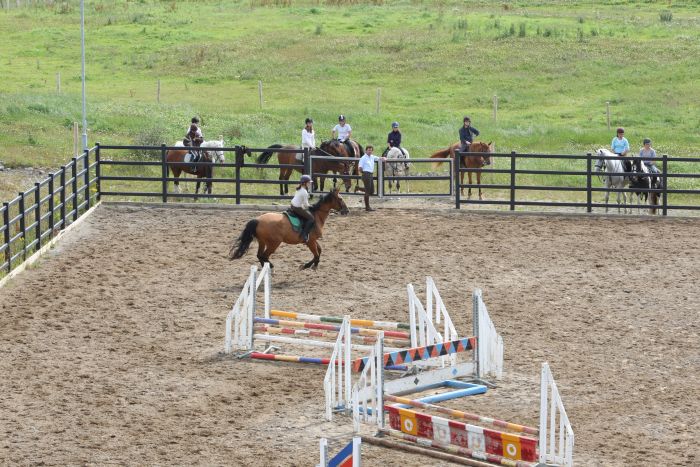 Apprentissage de l'anglais et équitation pour les adolescents