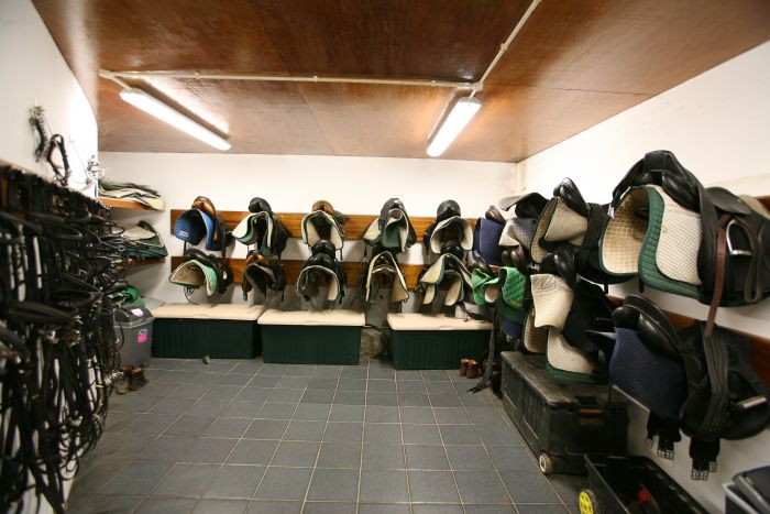 Apprentissage de l'anglais et équitation pour les adolescents