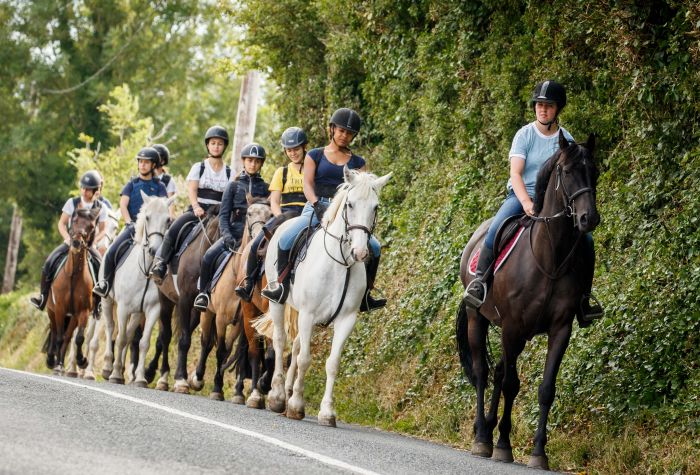 Apprentissage de l'anglais et équitation pour les adolescents