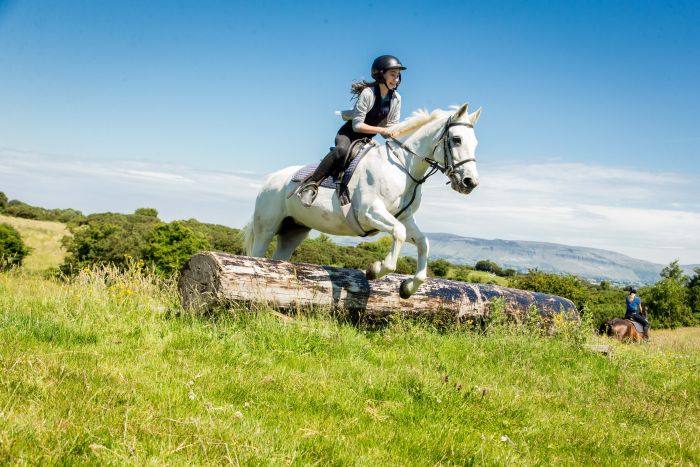 Apprentissage de l'anglais et équitation pour les adolescents