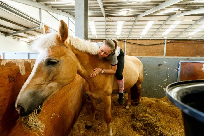 Apprentissage de l'anglais et équitation pour les adolescents