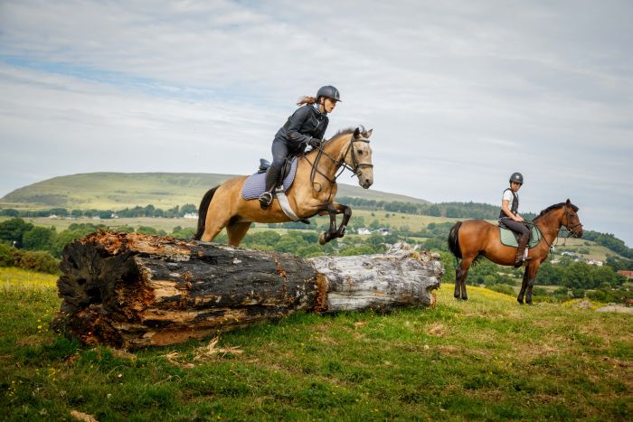 Apprentissage de l'anglais et équitation pour les adolescents