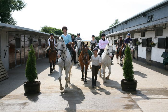Apprentissage de l'anglais et équitation pour les adolescents