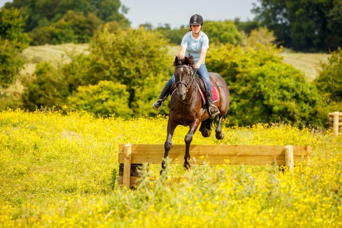 Apprentissage de l'anglais et équitation pour les adolescents
