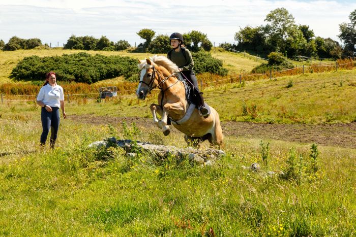 Apprentissage de l'anglais et équitation pour les adolescents