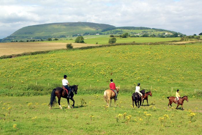 Apprentissage de l'anglais et équitation pour les adolescents