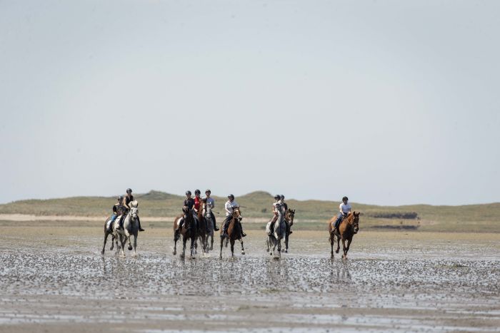 Apprentissage de l'anglais et équitation pour les adolescents