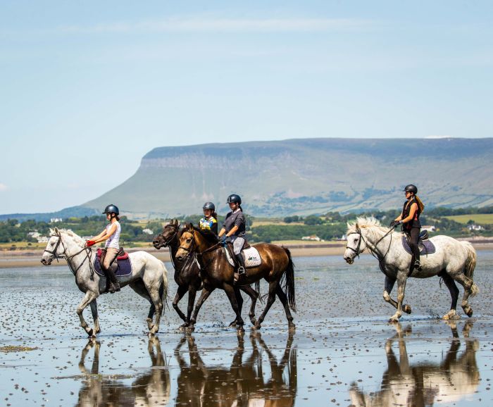 Apprentissage de l'anglais et équitation pour les adolescents