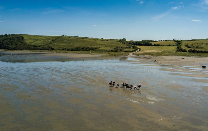 Apprentissage de l'anglais et équitation pour les adolescents