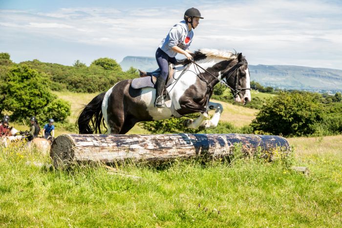 Apprentissage de l'anglais et équitation pour les adolescents