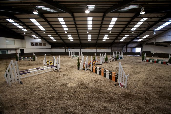 Apprentissage de l'anglais et équitation pour les adolescents