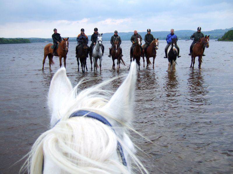 École d'équitation du comté de Galway