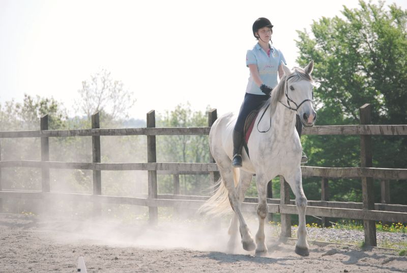 École d'équitation du comté de Galway
