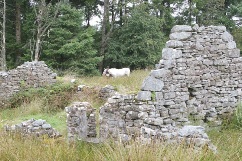 École d'équitation du comté de Galway