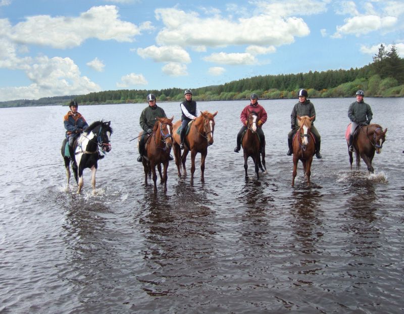 École d'équitation du comté de Galway